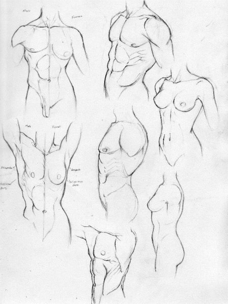 Женский силуэт для рисования одежды