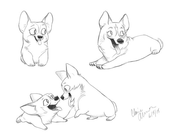 Вельш корги рисунок карандашом