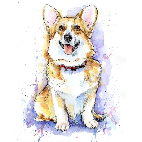 Рисунок корги легкий