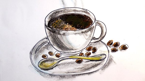 Рисунок чая карандашом для срисовки