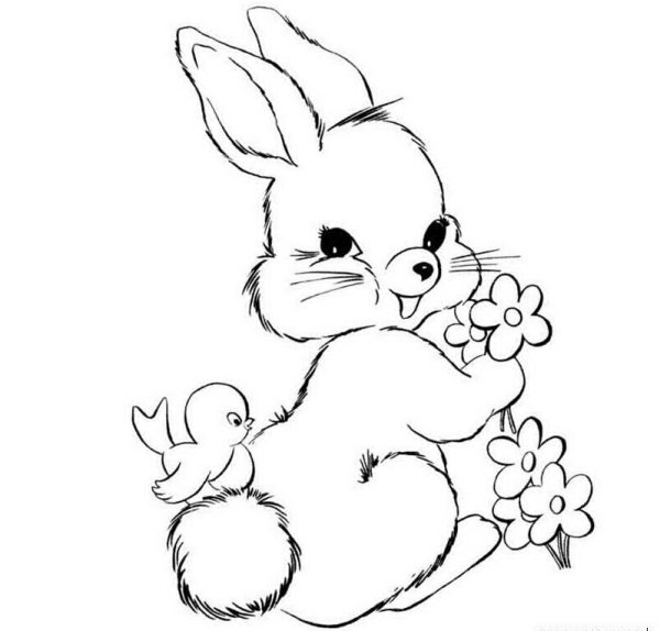 Раскраска зайчик