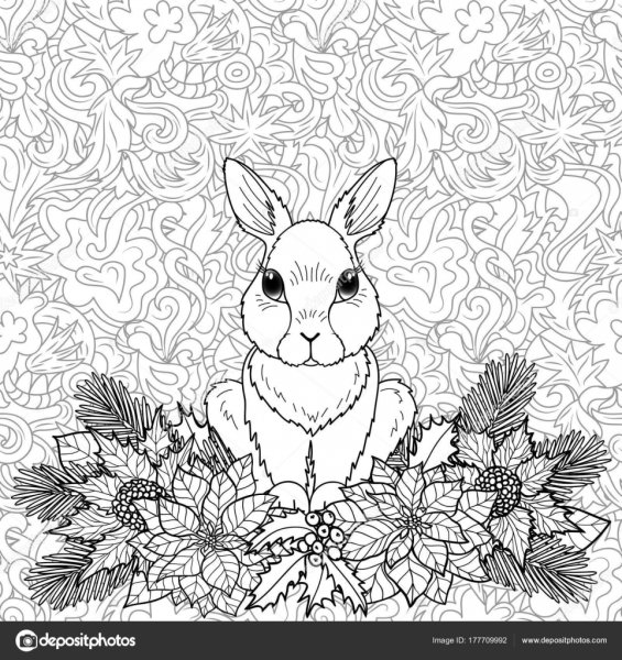 Кролик набросок