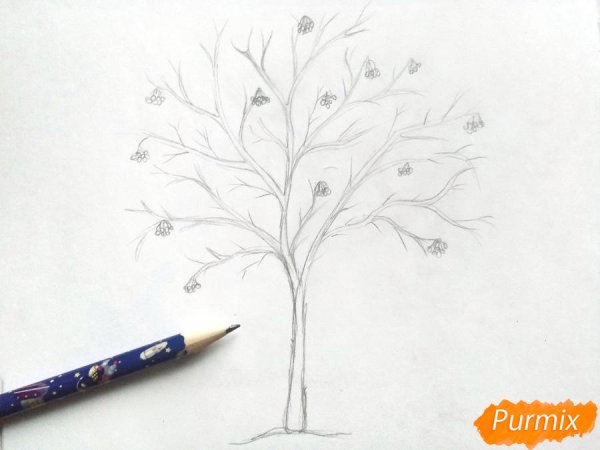 Рябина карандашом зимняя