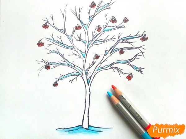 Рябина дерево