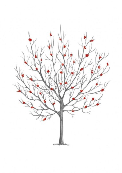 Рябина карандашом дерево