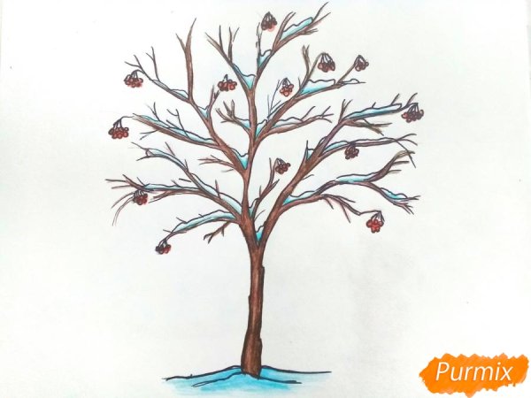 Рябина раскраска для детей