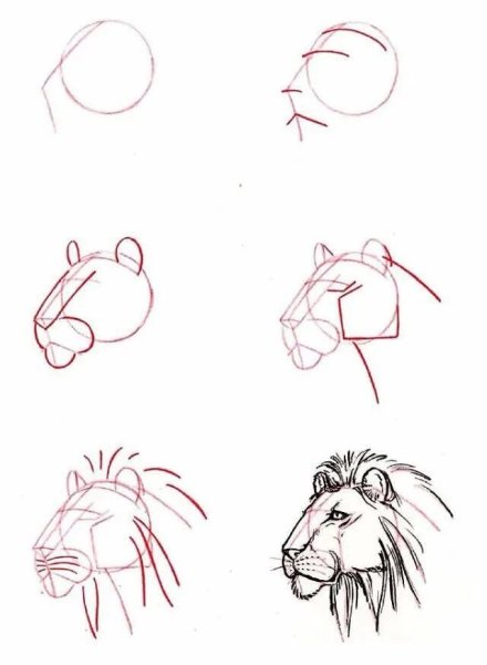 Поэтапное срисовывание