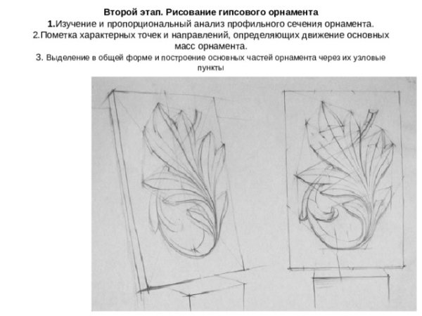 Академический рисунок гипсовая розетка