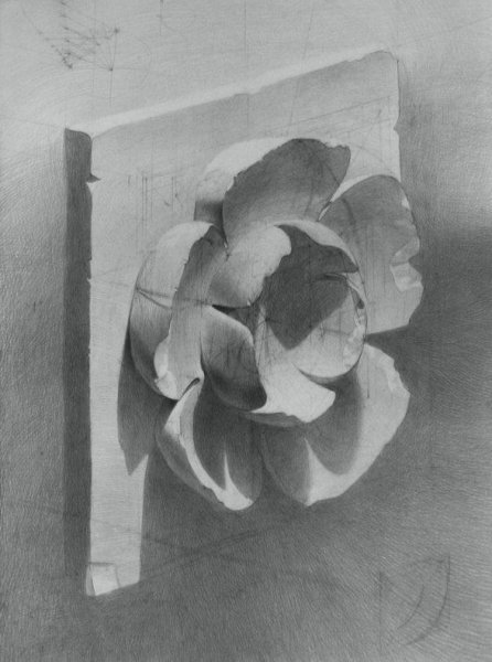 Розетка Восьмилистник сбоку