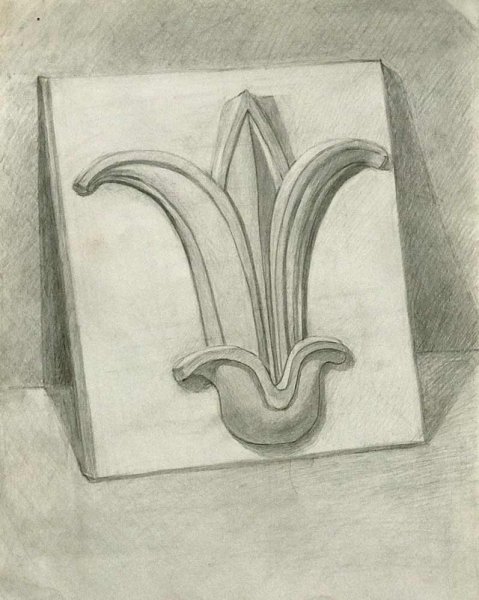 Линейно-конструктивный рисунок гипсовой розетки