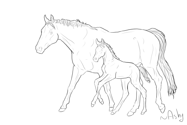 Лошадь с жеребенком