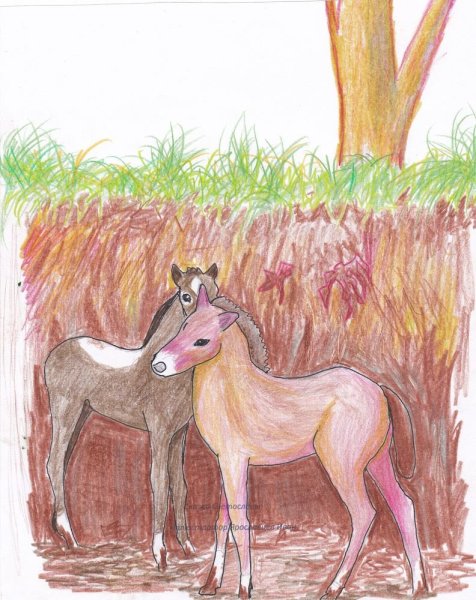 Жеребенок карандашом