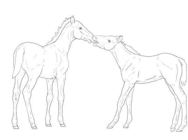 Жеребенок для рисования