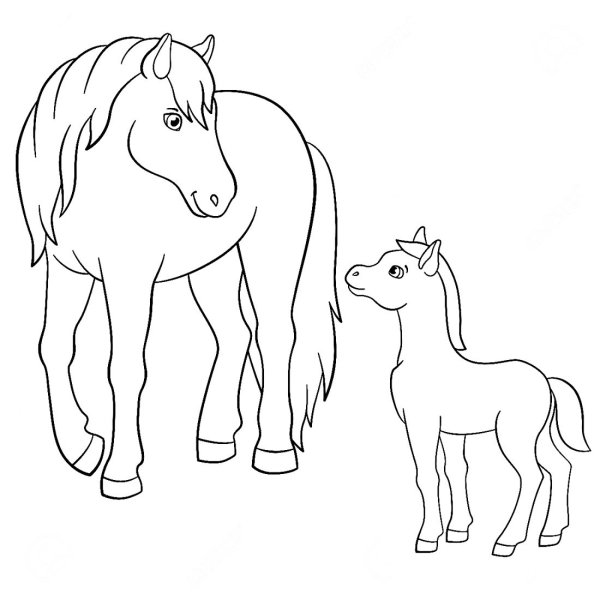 Раскраска лошадь с жеребенком