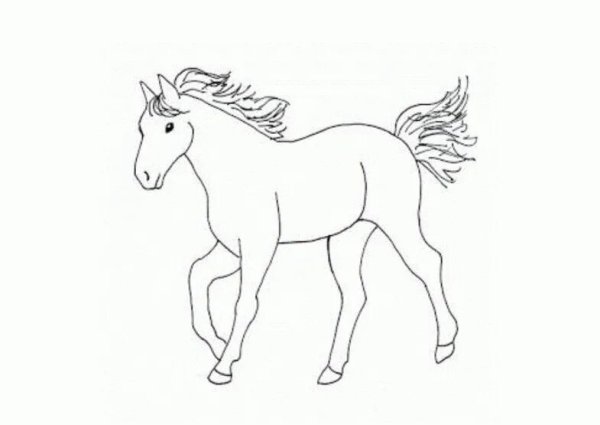 Контур лошади для раскраски