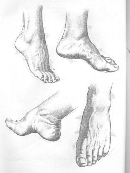 Наброски стопы человека