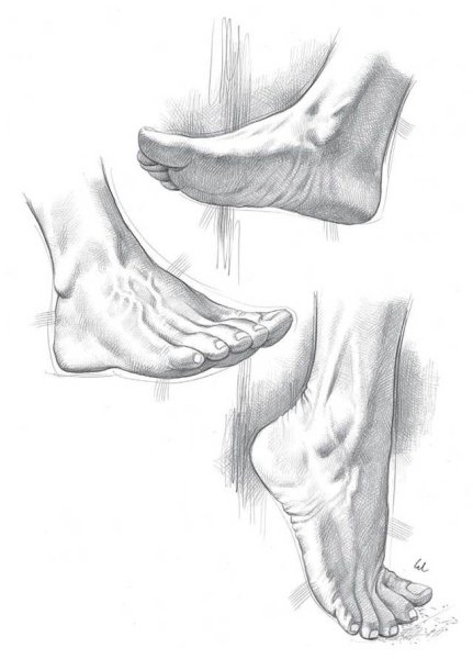 Стопа человека карандашом