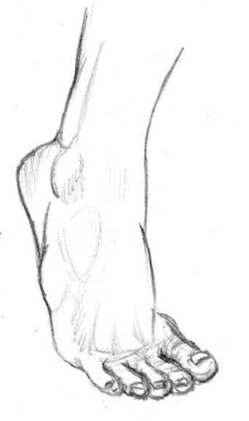 Стопа эскиз