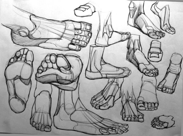 Зарисовки стопы ног