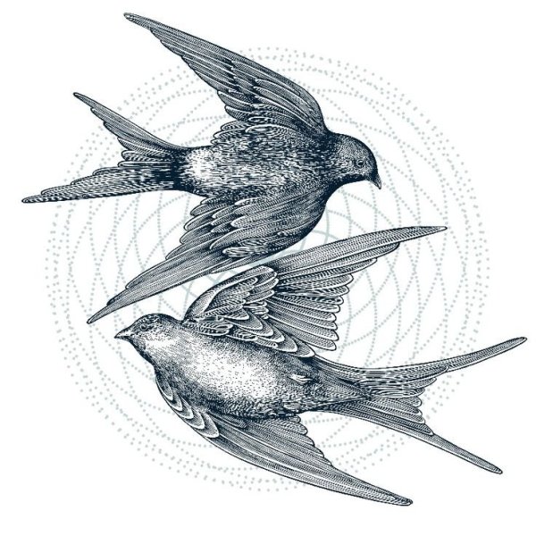 Ласточка Графика