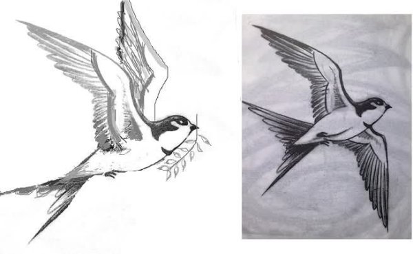 Ласточка эскиз