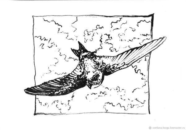 Стриж рисунок