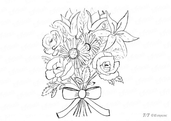Букет рисунок карандашом