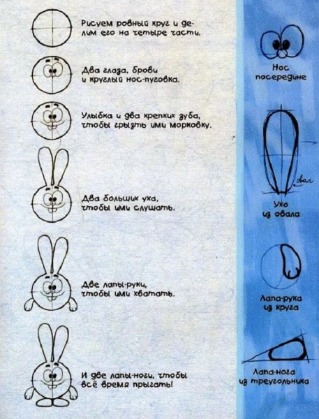 Крош из смешариков поэтапно