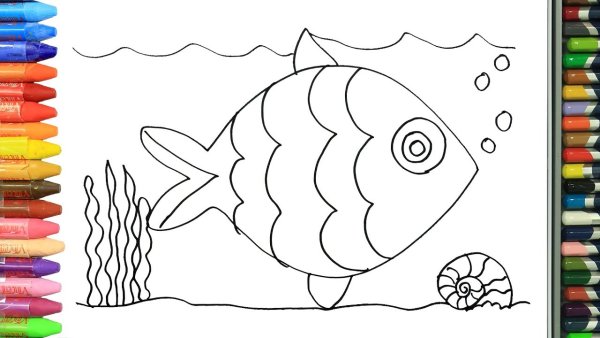 Рыбка для рисования детям