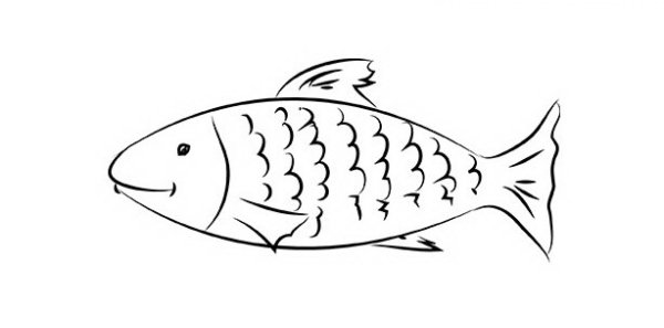 Рыба для срисовки легкие