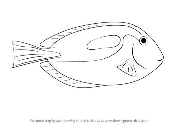 Рыба хирург раскраска