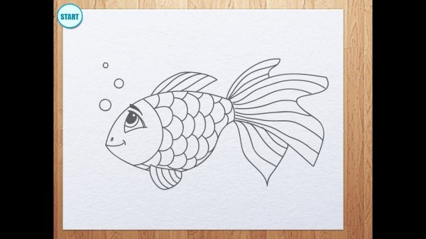 Рыбка рисунок для детей карандашом