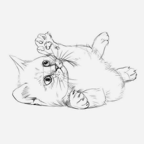 Котенок карандашом
