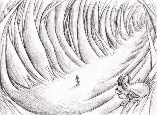 Рисунок карандашом красивый философия