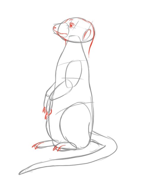 Суслик рисунок карандашом