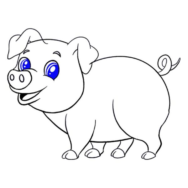 Свинья рисунок карандашом