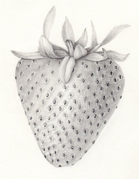 Клубника для раскрашивания