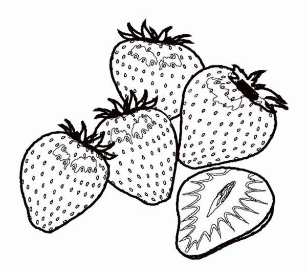 Земляника раскраска для детей