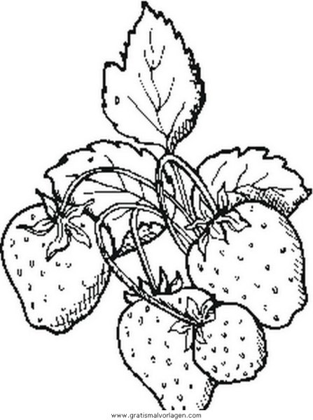 Поэтапное рисование фруктов