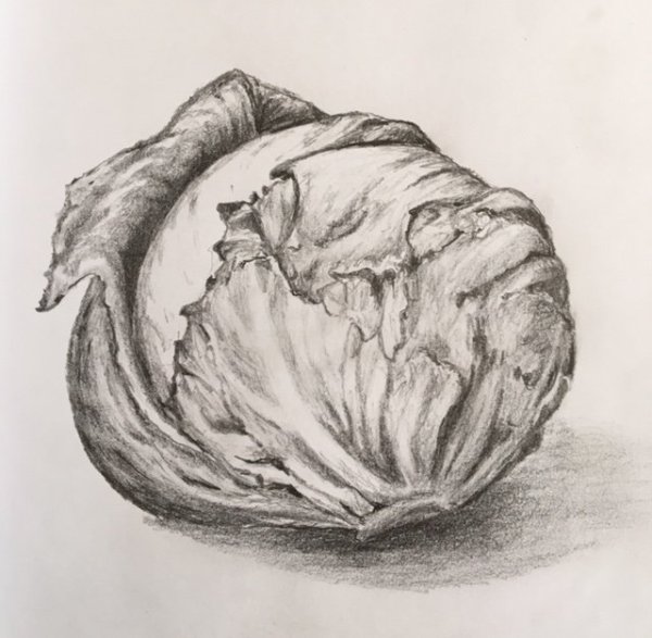 Капуста черно белая