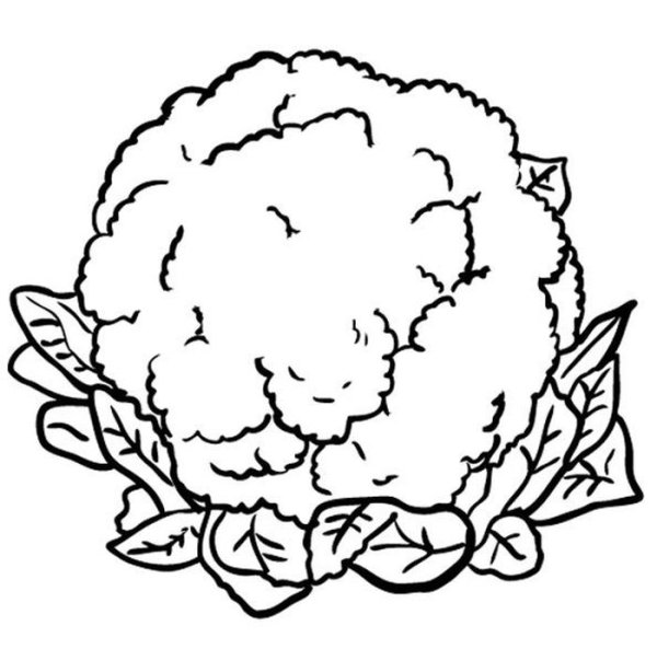 Капуста шаблон