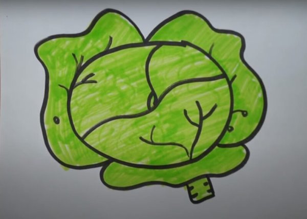 Как рисовать капусту