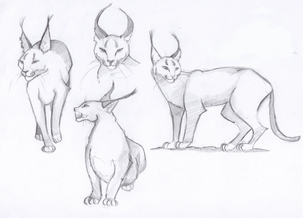 Каракал референс