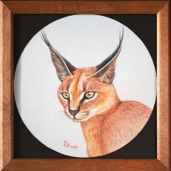 Каракал скетч