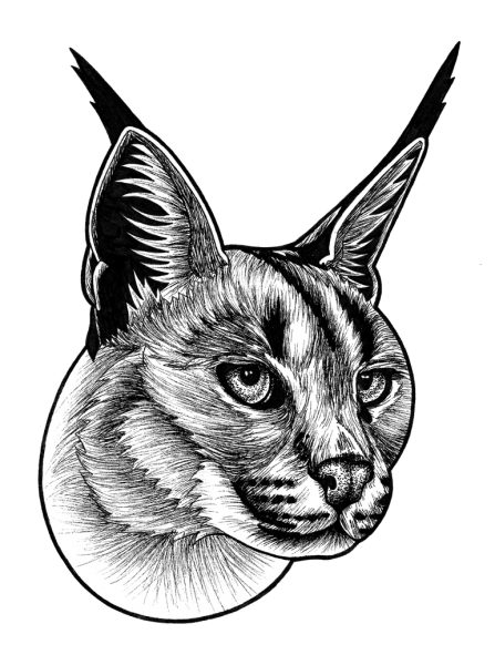 Каракал тату