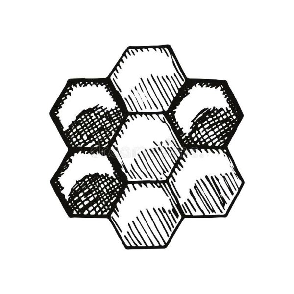Пчелиные соты рисунок карандашом