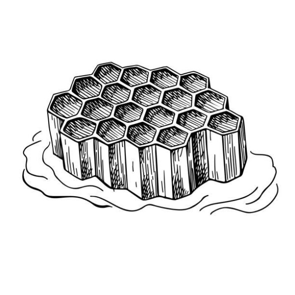 Соты карандашом