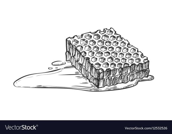 Медовые соты карандашом