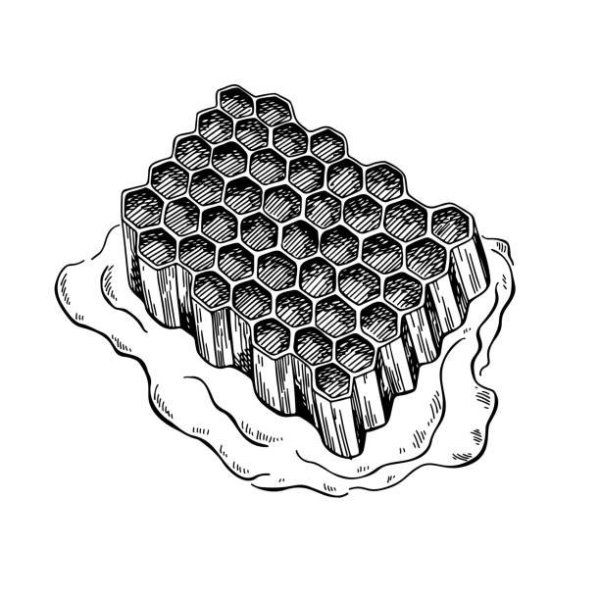 Мед в сотах вектор эскиз