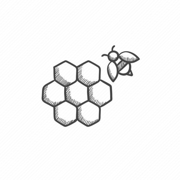 Пчелиные соты рисунок графический